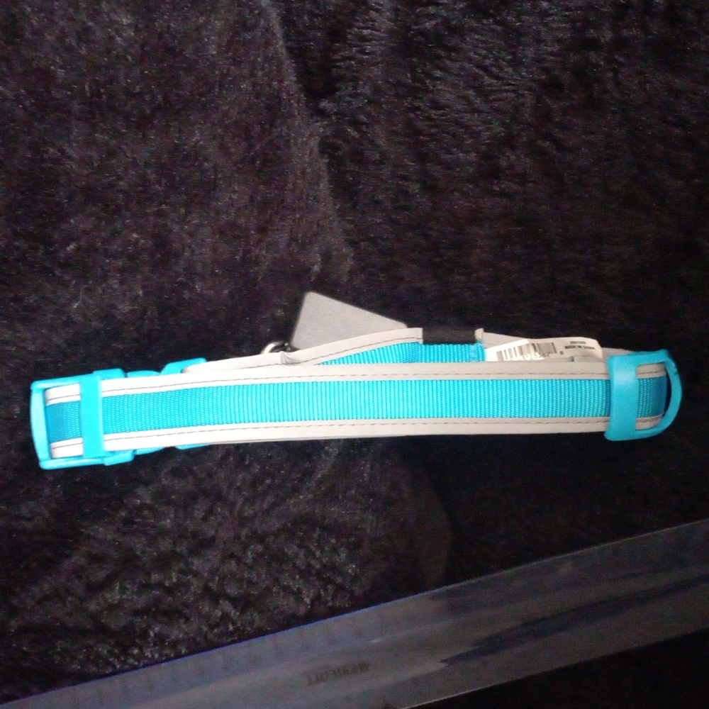 Good2Go LED Light-Up Collar for Dogs in Blue Small - Picture 3 of 3